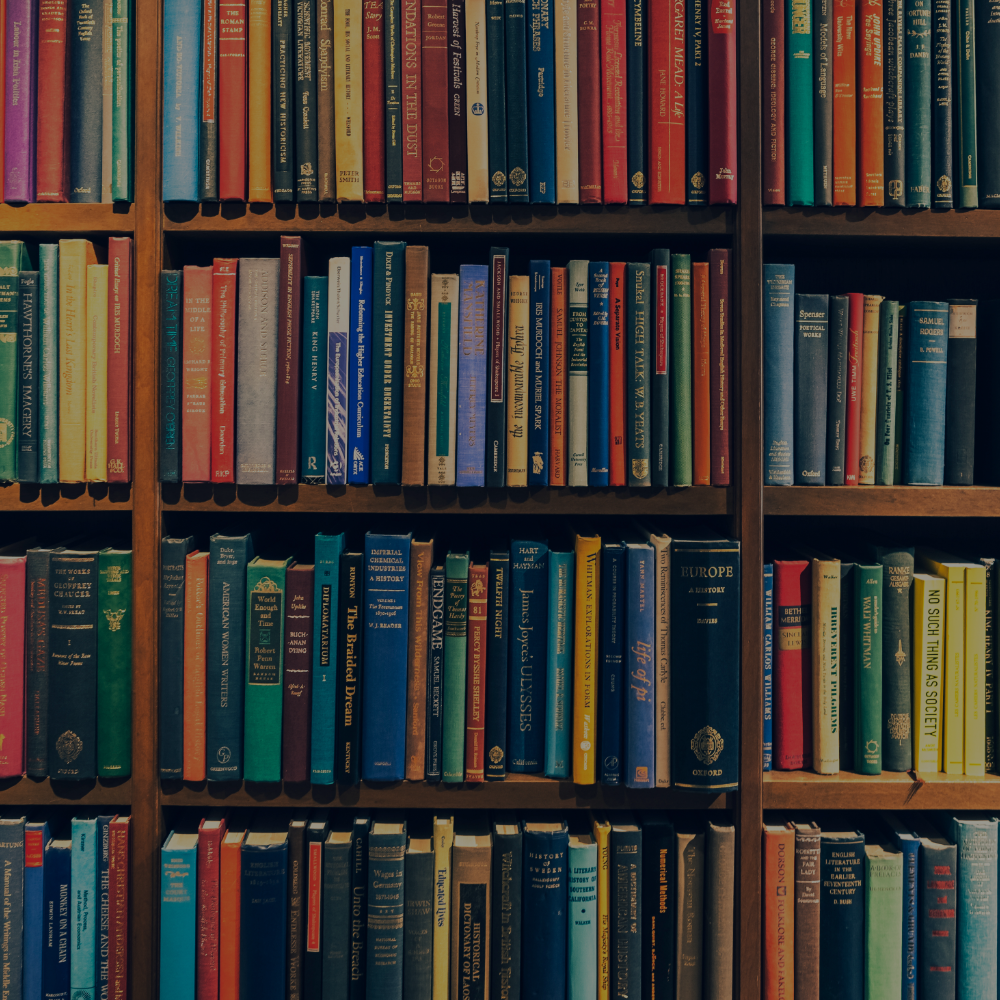 Featured image: Daily Protein Recommendation Range